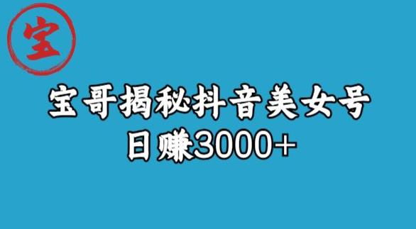 揭秘抖音美女号玩法，日赚3000+【宝哥版】-吉井万事屋资源网