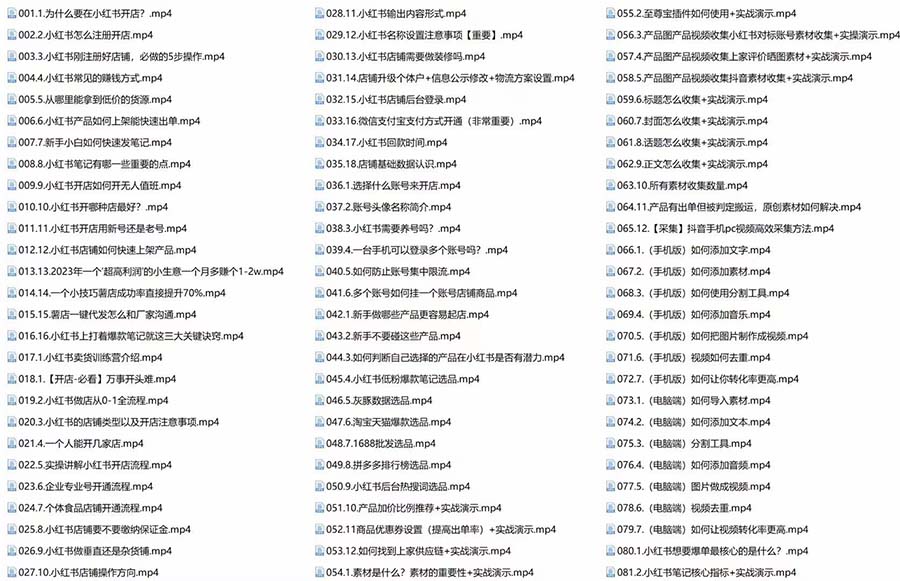 图片[3]-新个体·搞钱-小红书训练营：实战落地运营方法，抓住搞钱方向，每月多搞2w+-阿灿说钱
