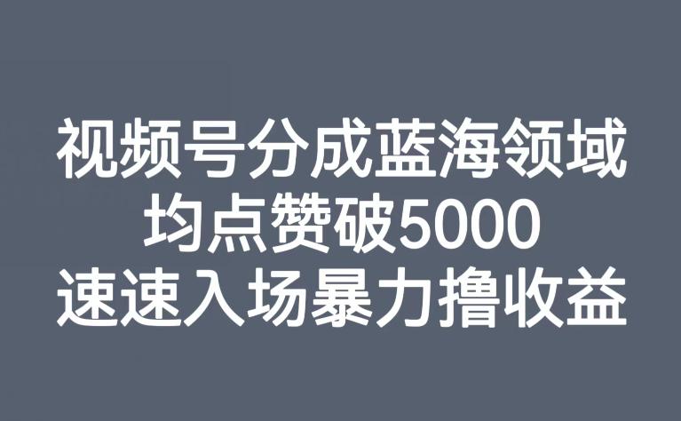 图片[1]-视频号分成蓝海领域，均点赞破5000，速速入场暴力撸收益-阿灿说钱