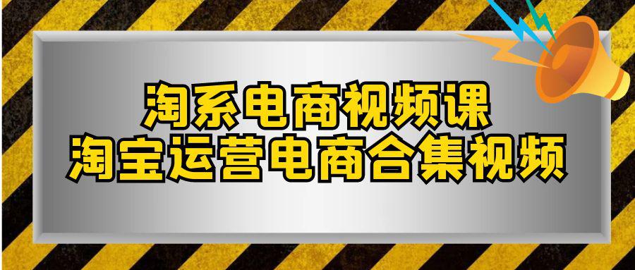 图片[1]-淘系-如何成为成功的淘宝卖家？电商合集课程（33节课）-阿灿说钱
