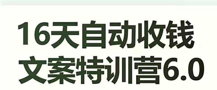 图片[1]-16天自动收钱文案特训营6.0，学会儿每天自动咔咔收钱-阿灿说钱