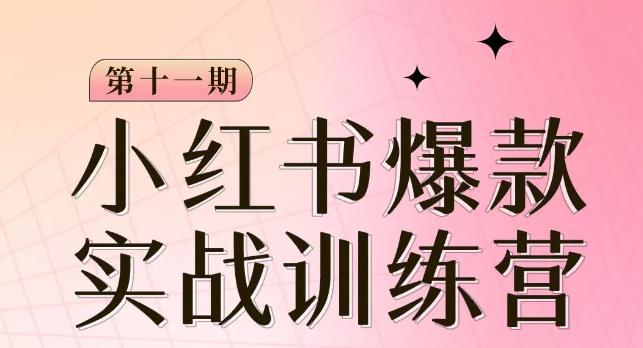 图片[1]-从零到一，掌握小红书爆款秘籍，，从定位到起号到变现让你轻松变身博主达人-阿灿说钱