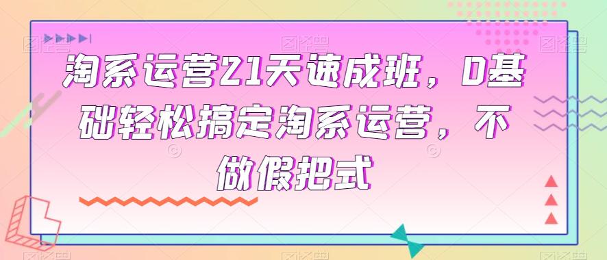 图片[1]-淘宝运营小白变大神：21天速成班实操指南，0基础轻松搞定淘系运营-阿灿说钱