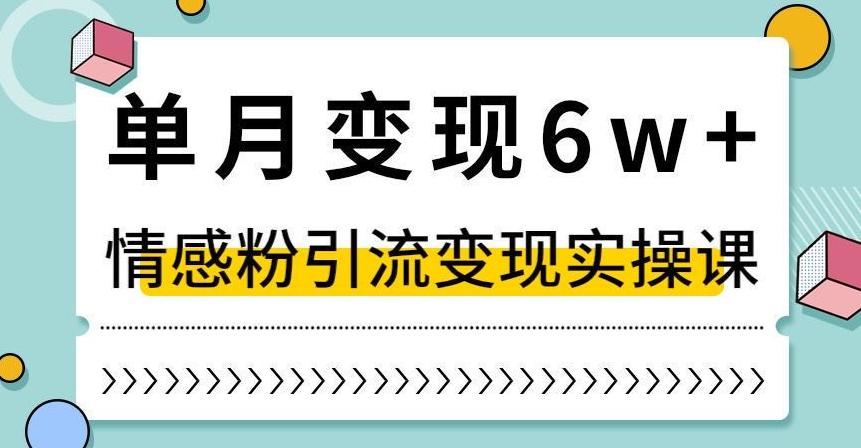图片[1]-抖音情感粉引流变现实操课，快速上手，小白也能轻松月入6W！-阿灿说钱