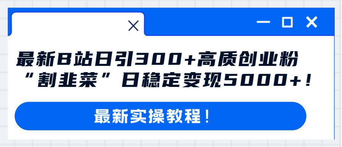 图片[1]-哔哩哔哩（B站）引流高质量创业粉教程：日引300+，“割韭菜”日稳定变现5000+！-阿灿说钱