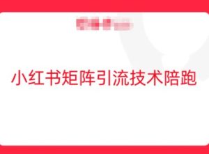 小红书矩阵引流技术,教大家玩转小红书流量-吉井万事屋资源网