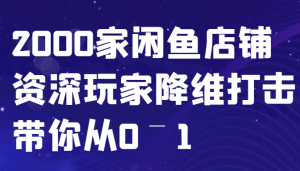 闲鱼已经饱和?纯扯淡!2000家闲鱼店铺资深玩家降维打击带你从0–1-吉井万事屋资源网