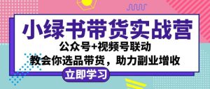小绿书AI带货实战营:公众号+视频号联动,教会你选品带货,助力副业增收-吉井万事屋资源网