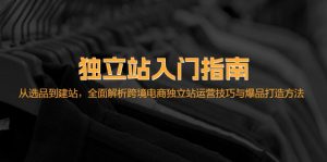 入门指南:从选品到建站,全面解析跨境电商独立站运营技巧与爆品-吉井万事屋资源网