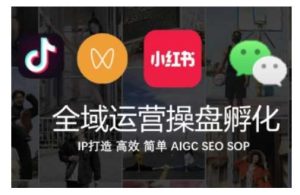 全域运营操盘(抖音+私域+小红书),IP打造高效简单-吉井万事屋资源网