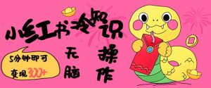 小红书冷知识账号,无脑复制粘贴,5分钟即可变现3张-吉井万事屋资源网