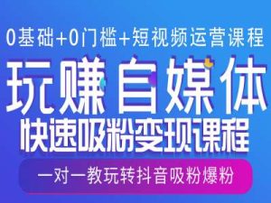0基础+0门槛+短视频运营课程,玩赚自媒体快速吸粉变现课程,一对一教玩转抖音吸粉爆粉-吉井万事屋资源网