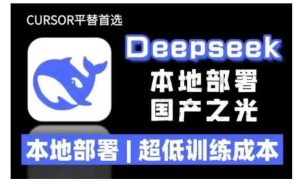 2025年deepseek R1 大型模型本地安装部署(文件+教程)本地部署,超低训练成本-吉井万事屋资源网