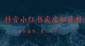 抖音小红书卖虚拟资料,市场需求一直存在,矩阵操作,月入1w+-吉井万事屋资源网