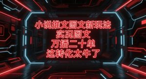 小说推文图文新玩法,实况图文,万播二十单,这转化太牛了!-吉井万事屋资源网