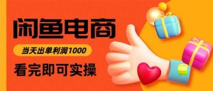 闲鱼高利润电商，入门到出单只需3小时，每天利润1000-吉井万事屋资源网