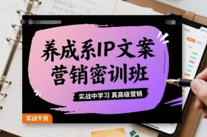 养成系IP文案营销密训班,实战中学习真高级营销-吉井万事屋资源网